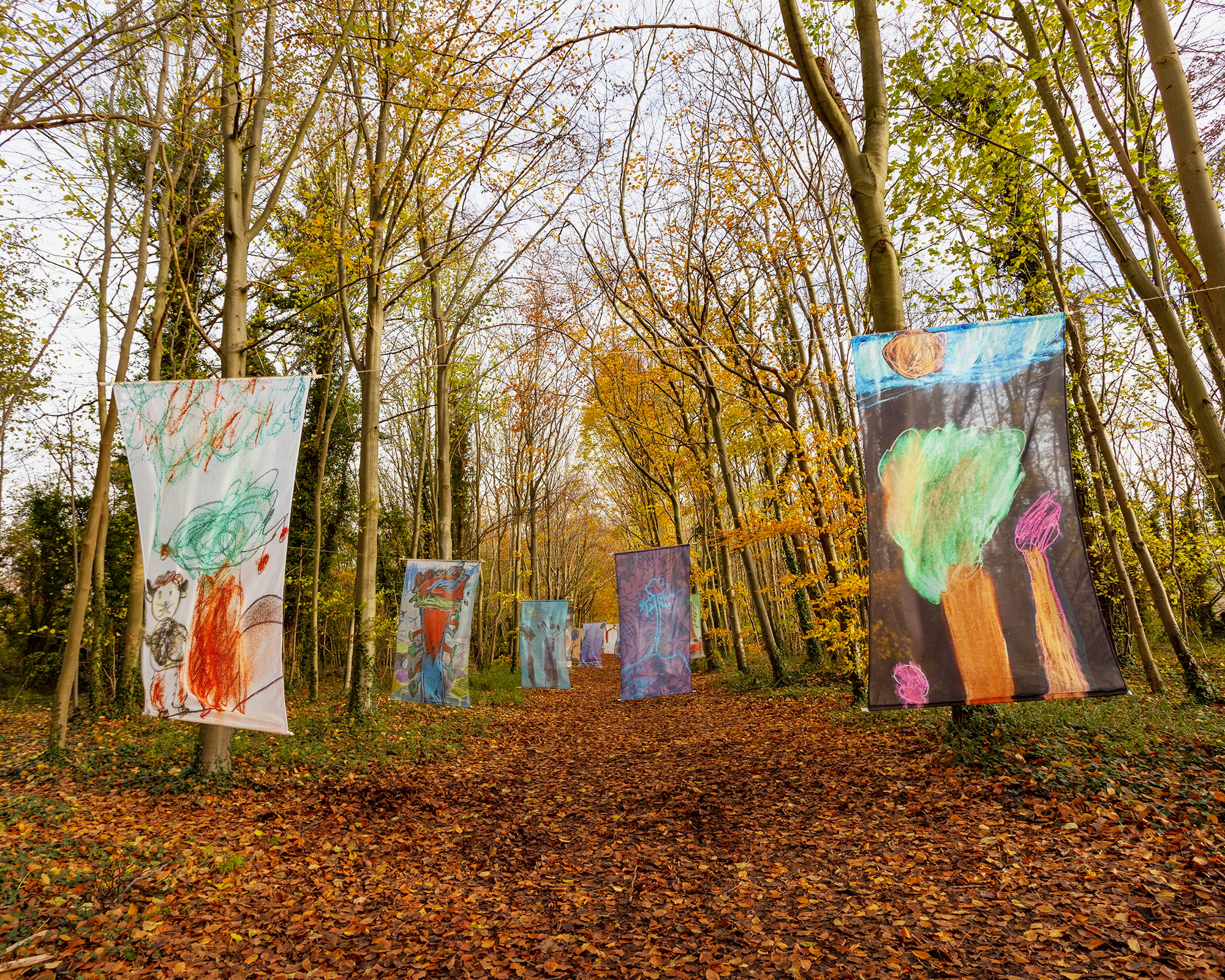 Fantastical Forest