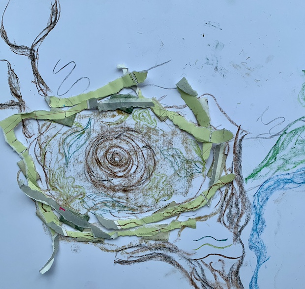 Jane's nest