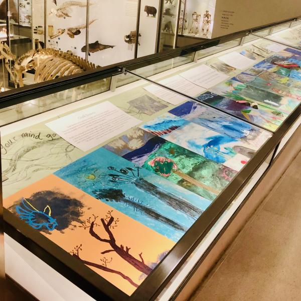 Chalk Dreams exhibition at the Zoology Museum, 2022