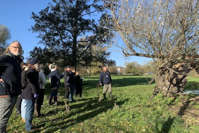 Veteran Tree Walk