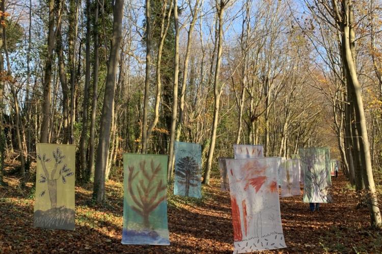 Tree Drawings